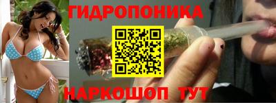 соль ск Обь
