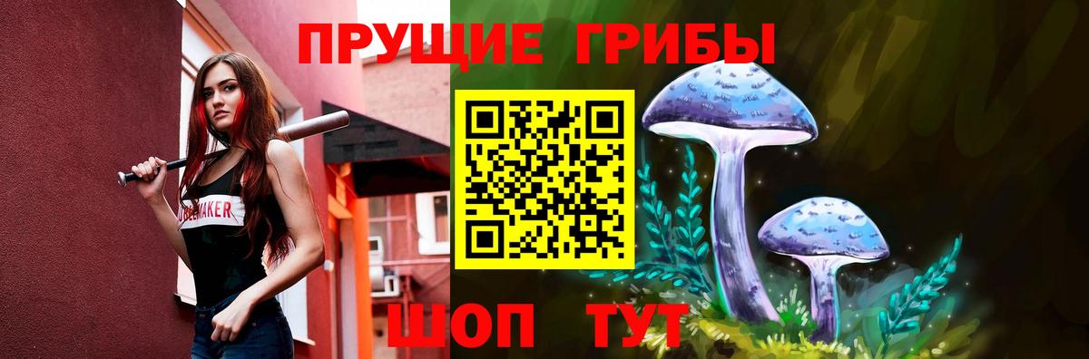 Сосновый Бор  Псилоцибиновые грибы прущие грибы  Вход с VPN 